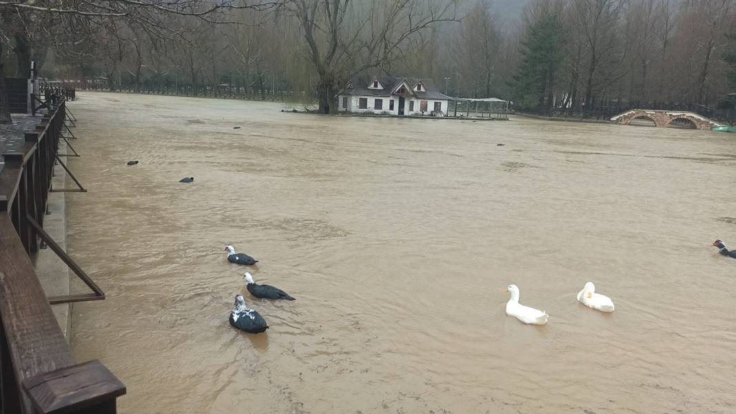 Konya'da şiddetli yağış göleti taşırdı! Bazı yerler sular altında kaldı 4